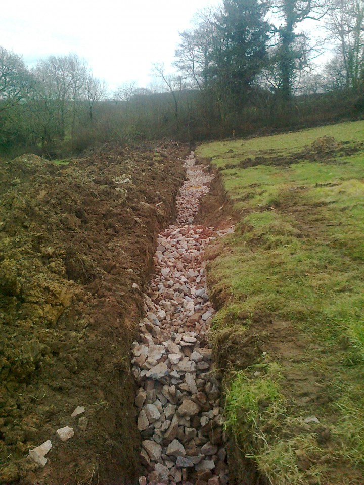 Photo0081